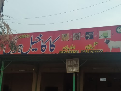 image not found