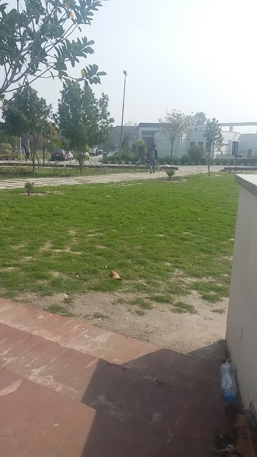 image not found