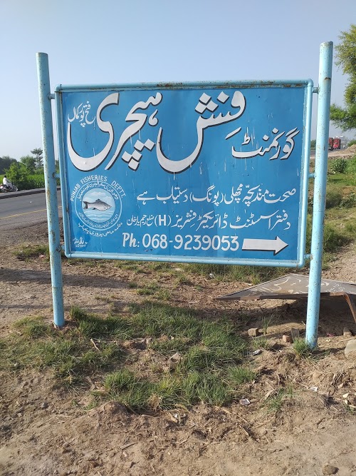 image not found