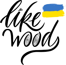 image not found